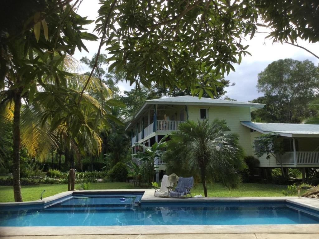 Sand Dollar Beach Bed & Breakfast Bocas Town Kültér fotó